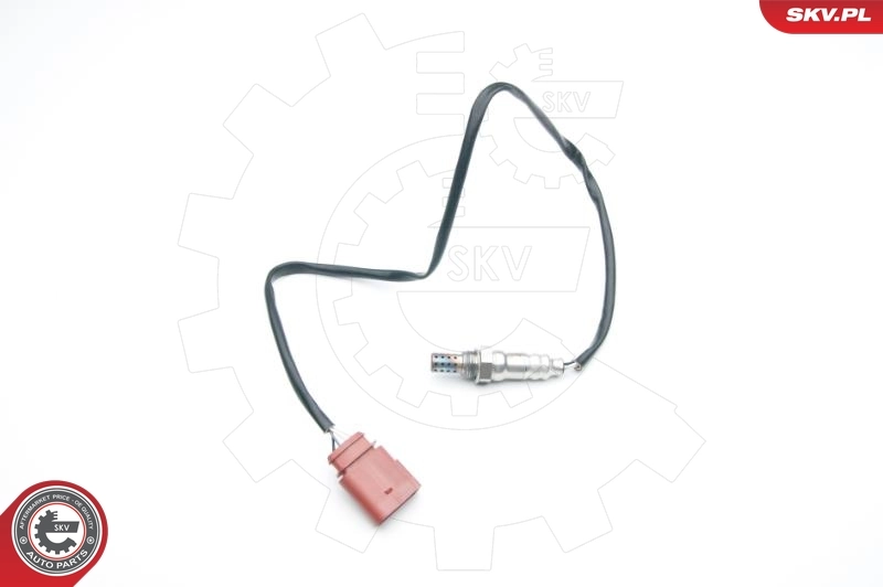 Oxygen Sensor
